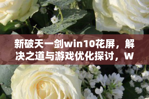 新破天一剑win10花屏，解决之道与游戏优化探讨，Win10下新破天一剑花屏问题解决方案及游戏优化指南