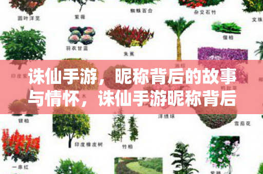诛仙手游，昵称背后的故事与情怀，诛仙手游昵称背后的故事与情怀
