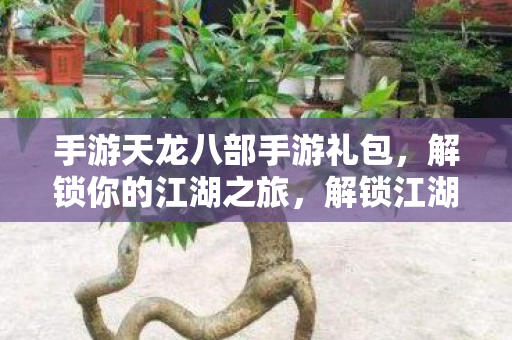 手游天龙八部手游礼包，解锁你的江湖之旅，解锁江湖之旅，手游天龙八部手游礼包来袭