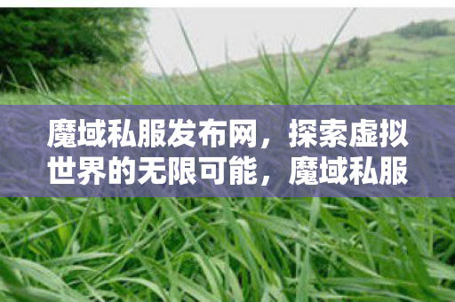 探索虚拟世界的无限可能图片