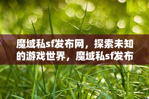探索未知的游戏世界图片