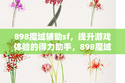 提升游戏体验的得力助手图片
