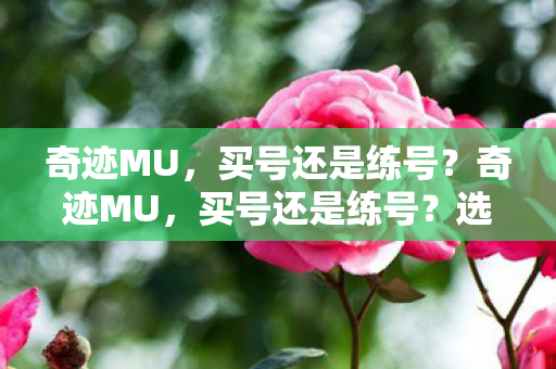 奇迹MU,买号还是练号?奇迹MU,买号还是练号?选择哪个更划算? 奇迹MU,买号还是练号?奇迹MU,买号还是练号?选择哪个更划算?