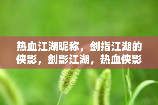 热血江湖昵称,剑指江湖的侠影,剑影江湖,热血侠影的昵称之旅 热血江湖昵称,剑指江湖的侠影,剑影江湖,热血侠影的昵称之旅