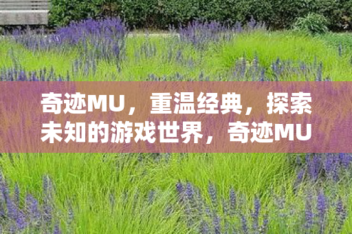 奇迹MU,重温经典,探索未知的游戏世界,奇迹MU,重温经典,探索未知游戏世界 奇迹MU,重温经典,探索未知的游戏世界,奇迹MU,重温经典,探索未知游戏世界