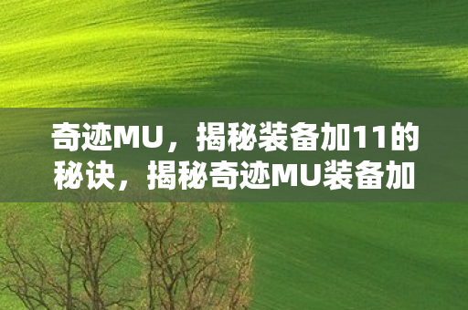 奇迹MU,揭秘装备加11的秘诀,揭秘奇迹MU装备加11的秘诀 奇迹MU,揭秘装备加11的秘诀,揭秘奇迹MU装备加11的秘诀