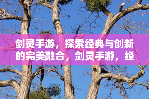 剑灵手游，探索经典与创新的完美融合，剑灵手游，经典与创新完美融合的探索之旅