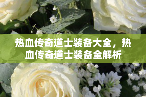 热血传奇道士装备全解析图片