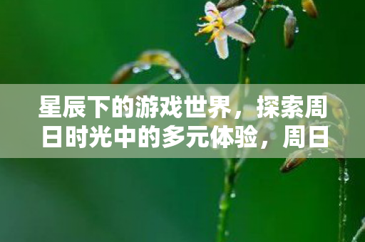 星辰下的游戏世界，探索周日时光中的多元体验，周日时光，星辰下的游戏世界多元体验