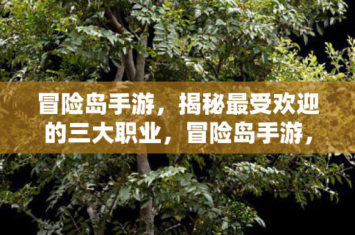 冒险岛手游,揭秘最受欢迎的三大职业,冒险岛手游,揭秘最受欢迎的三大职业 冒险岛手游,揭秘最受欢迎的三大职业,冒险岛手游,揭秘最受欢迎的三大职业
