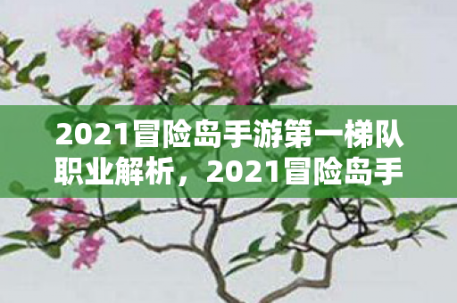 2021冒险岛手游第一梯队职业解析,2021冒险岛手游,第一梯队职业全面解析 2021冒险岛手游第一梯队职业解析,2021冒险岛手游,第一梯队职业全面解析