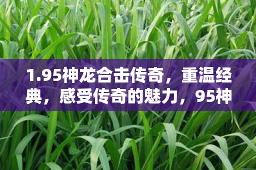 1.95神龙合击传奇,重温经典,感受传奇的魅力,95神龙合击传奇,重温经典,感受传奇的独特魅力 1.95神龙合击传奇,重温经典,感受传奇的魅力,95神龙合击传奇,重温经典,感受传奇的独特魅力