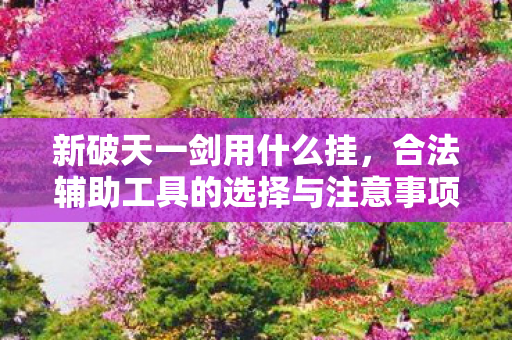 新破天一剑用什么挂，合法辅助工具的选择与注意事项，新破天一剑，如何选择合法的辅助工具及注意事项