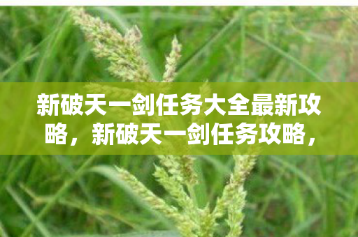 新破天一剑任务大全最新攻略,新破天一剑任务攻略,最新任务大全与策略 新破天一剑任务大全最新攻略,新破天一剑任务攻略,最新任务大全与策略