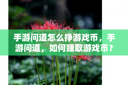 手游问道怎么挣游戏币，手游问道，如何赚取游戏币？