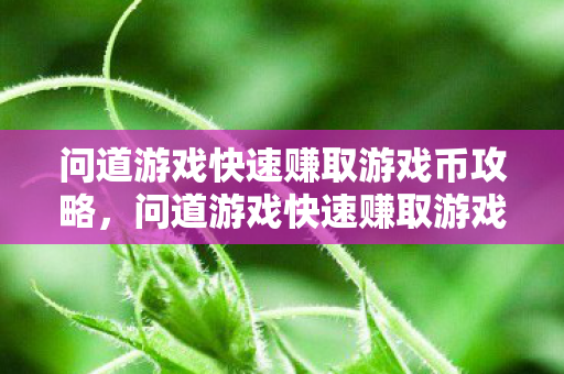 问道游戏快速赚取游戏币攻略,问道游戏快速赚取游戏币全攻略 问道游戏快速赚取游戏币攻略,问道游戏快速赚取游戏币全攻略