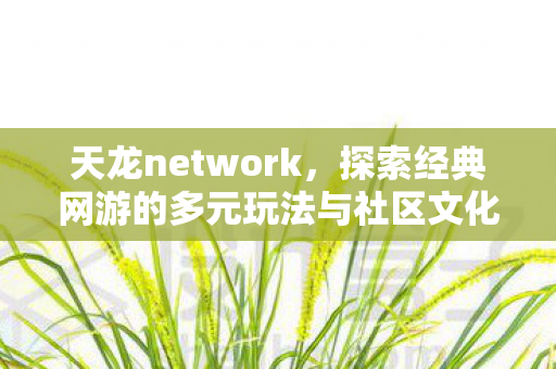 天龙network,探索经典网游的多元玩法与社区文化,天龙ONLINE,探索经典网游的多元玩法与社区文化 天龙network,探索经典网游的多元玩法与社区文化,天龙ONLINE,探索经典网游的多元玩法与社区文化