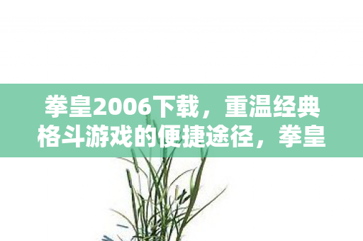 拳皇2006下载,重温经典格斗游戏的便捷途径,拳皇2006下载,重温经典格斗游戏的便捷途径 拳皇2006下载,重温经典格斗游戏的便捷途径,拳皇2006下载,重温经典格斗游戏的便捷途径