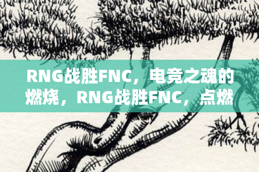 RNG战胜FNC,电竞之魂的燃烧,RNG战胜FNC,点燃电竞之魂 RNG战胜FNC,电竞之魂的燃烧,RNG战胜FNC,点燃电竞之魂