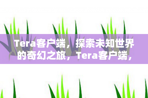 Tera客户端,探索未知世界的奇幻之旅,Tera客户端,开启探索未知世界的奇幻之旅 Tera客户端,探索未知世界的奇幻之旅,Tera客户端,开启探索未知世界的奇幻之旅