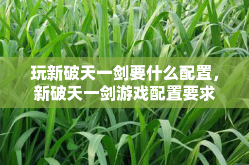 玩新破天一剑要什么配置,新破天一剑游戏配置要求 玩新破天一剑要什么配置,新破天一剑游戏配置要求