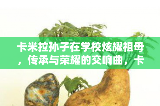 卡米拉孙子在学校炫耀祖母,传承与荣耀的交响曲,卡米拉孙子在学校炫耀祖母,传承与荣耀的交响曲 卡米拉孙子在学校炫耀祖母,传承与荣耀的交响曲,卡米拉孙子在学校炫耀祖母,传承与荣耀的交响曲