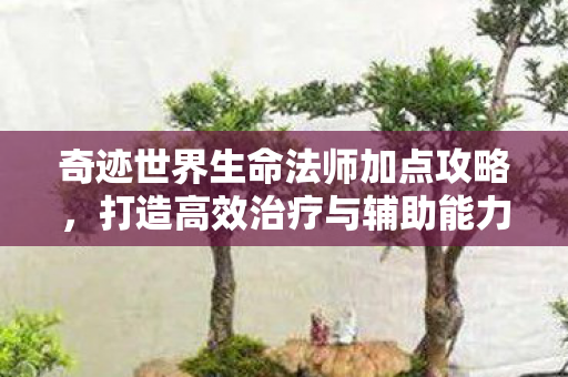 奇迹世界生命法师加点攻略,打造高效治疗与辅助能力,奇迹世界生命法师加点攻略,打造高效治疗与辅助能力 奇迹世界生命法师加点攻略,打造高效治疗与辅助能力,奇迹世界生命法师加点攻略,打造高效治疗与辅助能力