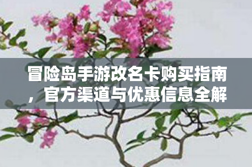 冒险岛手游改名卡购买指南,官方渠道与优惠信息全解析,冒险岛手游改名卡购买全攻略,官方渠道与优惠信息解析 冒险岛手游改名卡购买指南,官方渠道与优惠信息全解析,冒险岛手游改名卡购买全攻略,官方渠道与优惠信息解析