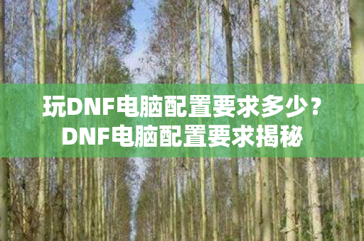玩DNF电脑配置要求多少？DNF电脑配置要求揭秘