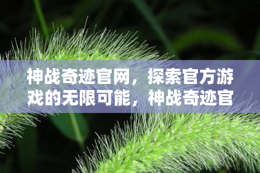 神战奇迹官网,探索官方游戏的无限可能,神战奇迹官网,探索官方游戏的无限可能 神战奇迹官网,探索官方游戏的无限可能,神战奇迹官网,探索官方游戏的无限可能