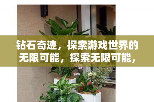 钻石奇迹,探索游戏世界的无限可能,探索无限可能,钻石奇迹游戏世界 钻石奇迹,探索游戏世界的无限可能,探索无限可能,钻石奇迹游戏世界
