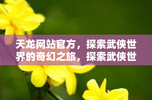 天龙网站官方，探索武侠世界的奇幻之旅，探索武侠世界的奇幻之旅，天龙网站官方