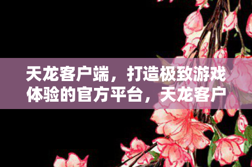 天龙客户端,打造极致游戏体验的官方平台,天龙客户端,打造极致游戏体验的官方平台 天龙客户端,打造极致游戏体验的官方平台,天龙客户端,打造极致游戏体验的官方平台