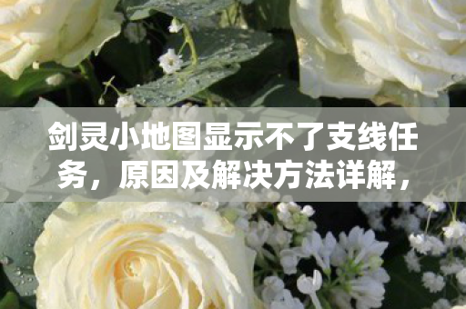 剑灵小地图显示不了支线任务,原因及解决方法详解,揭秘!剑灵小地图无法显示支线任务原因及快速解决攻略 剑灵小地图显示不了支线任务,原因及解决方法详解,揭秘!剑灵小地图无法显示支线任务原因及快速解决攻略