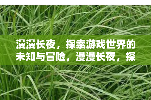 漫漫长夜,探索游戏世界的未知与冒险,漫漫长夜,探索游戏世界的未知与冒险 漫漫长夜,探索游戏世界的未知与冒险,漫漫长夜,探索游戏世界的未知与冒险