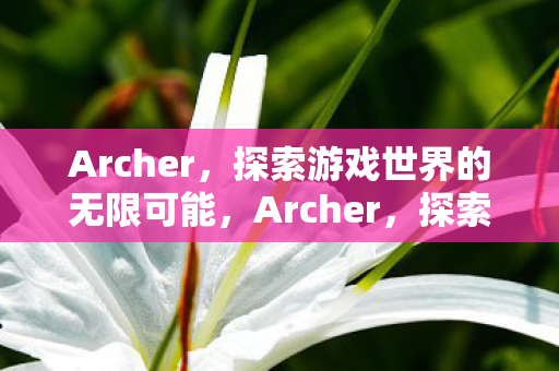 Archer,探索游戏世界的无限可能,Archer,探索游戏世界的无限可能 Archer,探索游戏世界的无限可能,Archer,探索游戏世界的无限可能