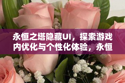 永恒之塔隐藏UI，探索游戏内优化与个性化体验，永恒之塔，隐藏UI，打造个性化游戏体验