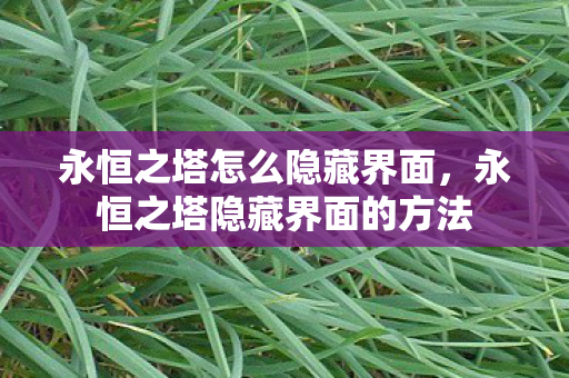 永恒之塔怎么隐藏界面,永恒之塔隐藏界面的方法 永恒之塔怎么隐藏界面,永恒之塔隐藏界面的方法