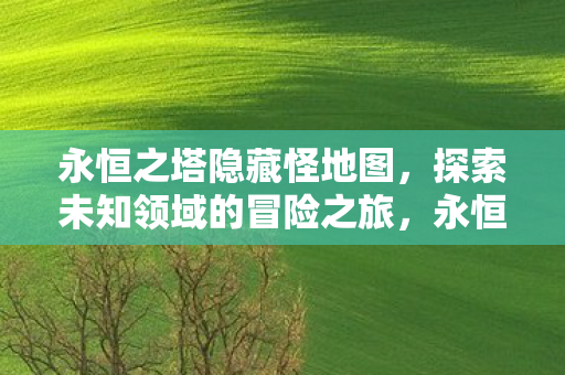 永恒之塔隐藏怪地图,探索未知领域的冒险之旅,永恒之塔隐藏怪地图,探索未知领域的冒险之旅 永恒之塔隐藏怪地图,探索未知领域的冒险之旅,永恒之塔隐藏怪地图,探索未知领域的冒险之旅