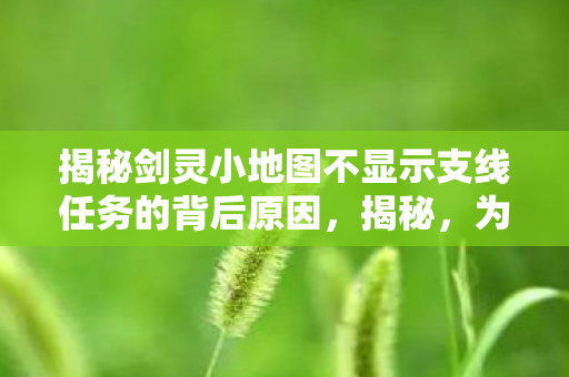 揭秘剑灵小地图不显示支线任务的背后原因,揭秘,为何剑灵小地图不显示支线任务? 揭秘剑灵小地图不显示支线任务的背后原因,揭秘,为何剑灵小地图不显示支线任务?