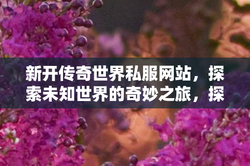 新开传奇世界私服网站,探索未知世界的奇妙之旅,探索新开传奇世界私服网站,开启奇妙冒险之旅 新开传奇世界私服网站,探索未知世界的奇妙之旅,探索新开传奇世界私服网站,开启奇妙冒险之旅