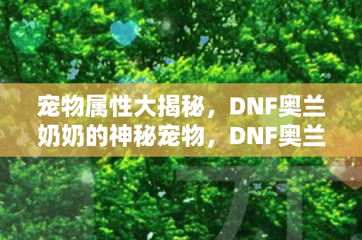 宠物属性大揭秘,DNF奥兰奶奶的神秘宠物,DNF奥兰奶奶神秘宠物属性全解析 宠物属性大揭秘,DNF奥兰奶奶的神秘宠物,DNF奥兰奶奶神秘宠物属性全解析