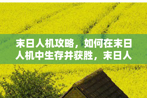 末日人机攻略,如何在末日人机中生存并获胜,末日人机生存指南,如何获胜并生存 末日人机攻略,如何在末日人机中生存并获胜,末日人机生存指南,如何获胜并生存