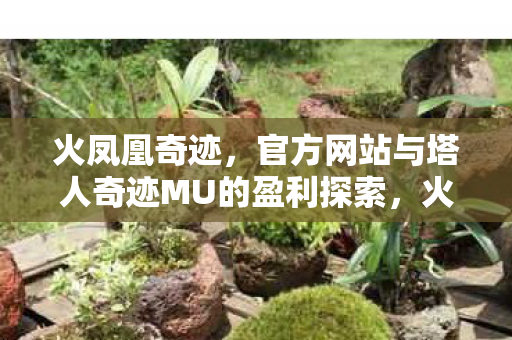 火凤凰奇迹,官方网站与塔人奇迹MU的盈利探索,火凤凰奇迹与塔人奇迹MU的盈利探索之路 火凤凰奇迹,官方网站与塔人奇迹MU的盈利探索,火凤凰奇迹与塔人奇迹MU的盈利探索之路