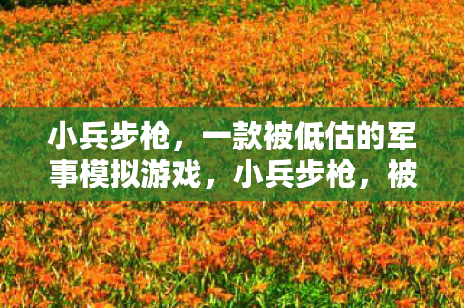 小兵步枪,一款被低估的军事模拟游戏,小兵步枪,被低估的军事模拟游戏 小兵步枪,一款被低估的军事模拟游戏,小兵步枪,被低估的军事模拟游戏
