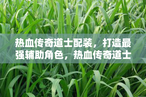 热血传奇道士最强配装指南图片
