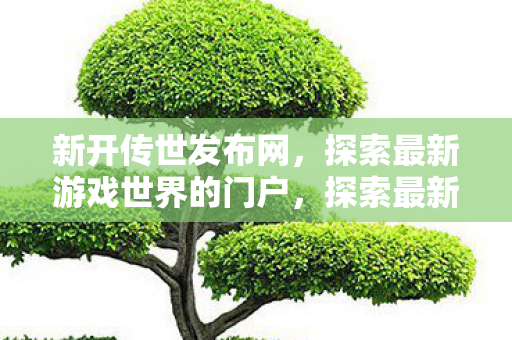 新开传世发布网，探索最新游戏世界的门户，探索最新游戏世界，新开传世发布网门户