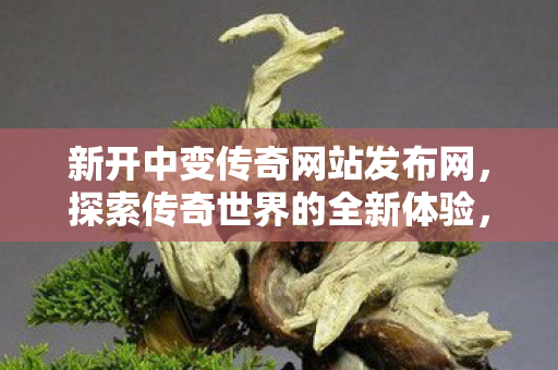 新开中变传奇网站发布网，探索传奇世界的全新体验，探索全新传奇世界，中变传奇网站发布网