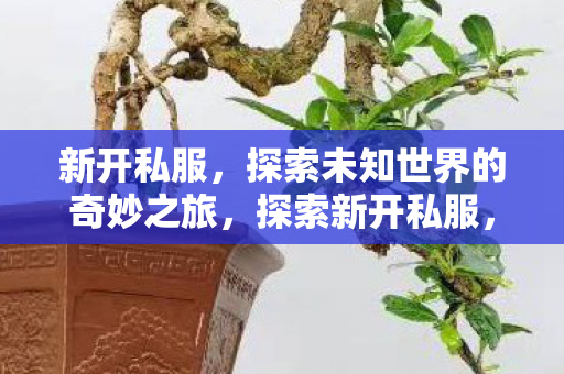 新开私服,探索未知世界的奇妙之旅,探索新开私服,开启未知世界的奇妙之旅 新开私服,探索未知世界的奇妙之旅,探索新开私服,开启未知世界的奇妙之旅