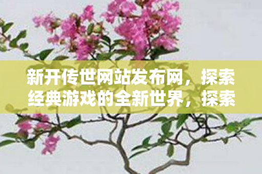 新开传世网站发布网，探索经典游戏的全新世界，探索经典游戏全新世界，新开传世网站发布网